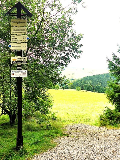 Vrchní Orlice - turistický  rozcestník na Vysokém kořenu.