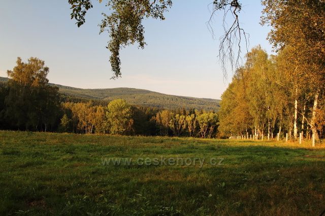 Pastviny za Květnovem