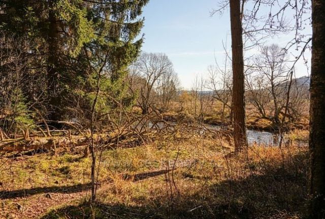 Na břehu Vltavy