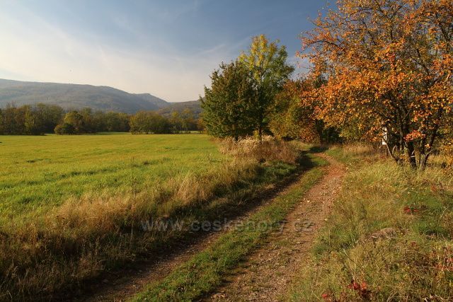 Cesta u kapličky