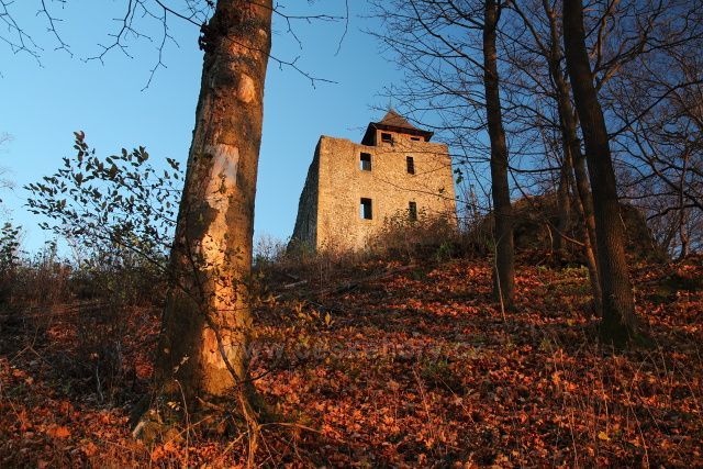 Hrad Kamenice