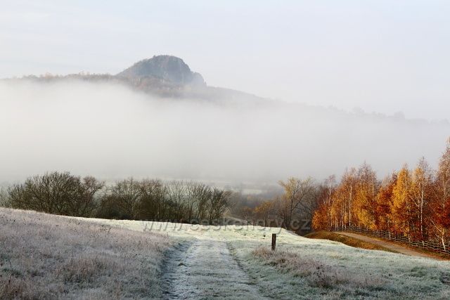 Bořeň nad mlhou