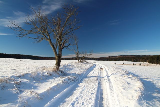 Cesta k Novému rybníku