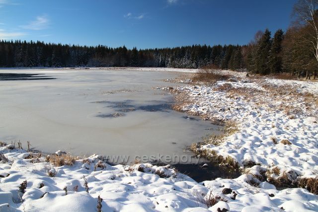 Nový rybník