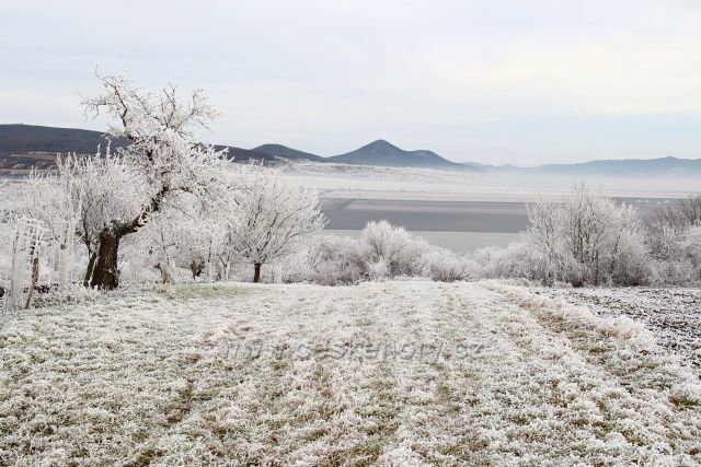 Výhled na Lovoš