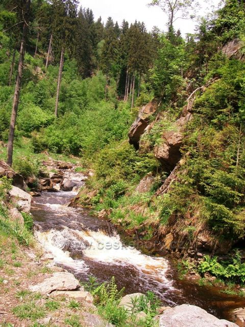 Prunéřovské údolí - potok