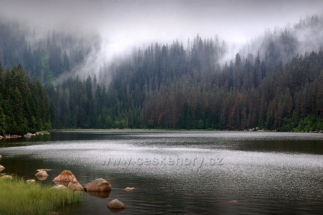 Šumava, Plešné jezero