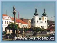 Bystřice nad Pernštejnem - Sloup Panny Marie a kostel sv. Vavřince